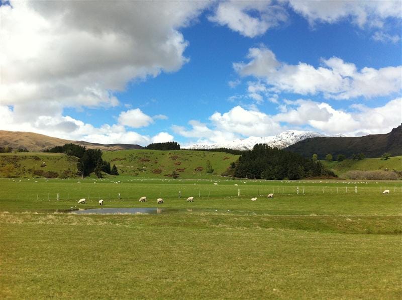 DSC09203.JPG DSC09203.JPG