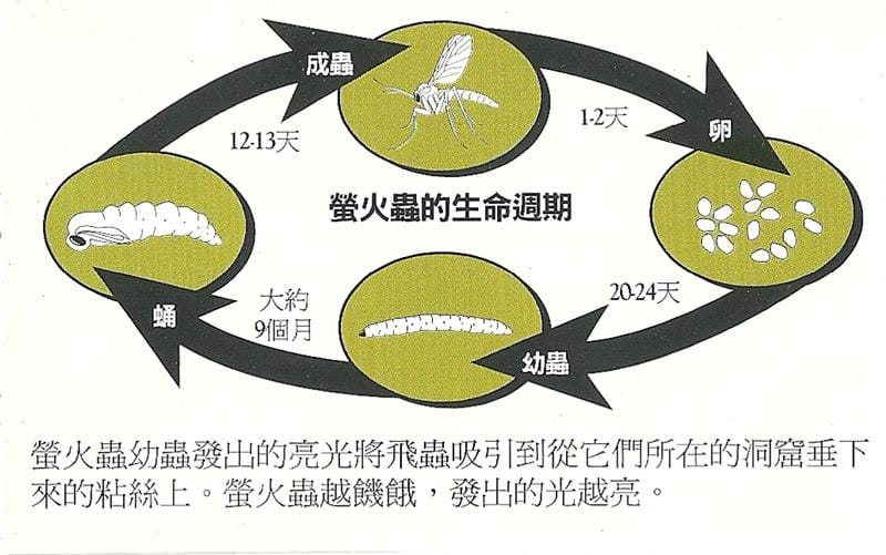 DSC09381(6).jpg DSC09381(6).jpg