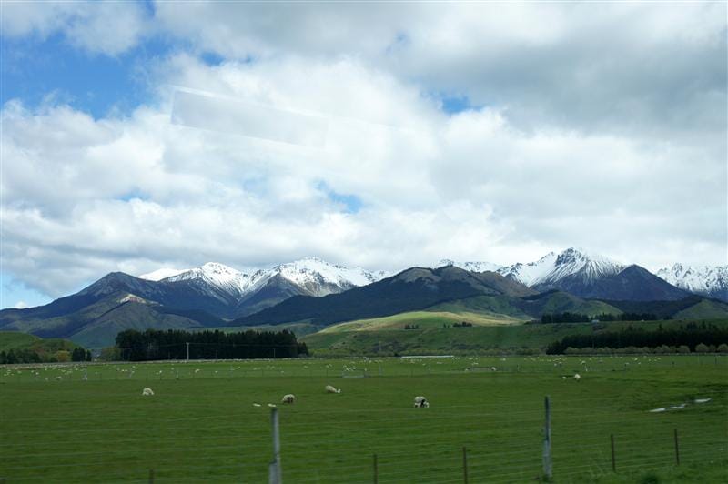 DSC09221.JPG DSC09221.JPG