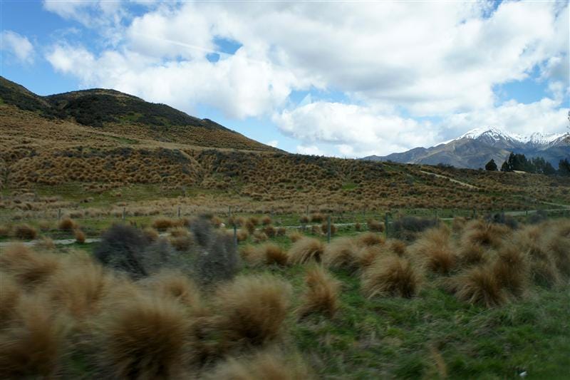 DSC09216.JPG DSC09216.JPG