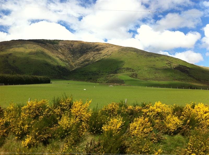 DSC09206.JPG DSC09206.JPG