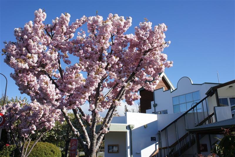 DSC09303.JPG DSC09303.JPG