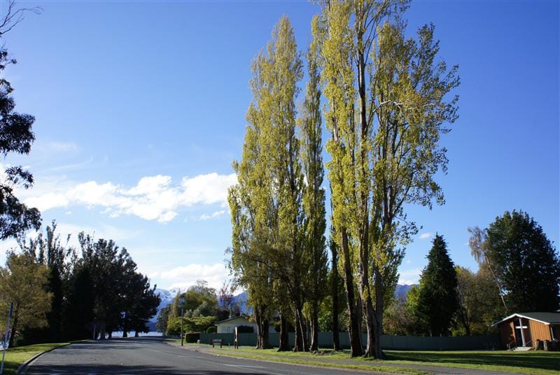 DSC09318.JPG DSC09318.JPG