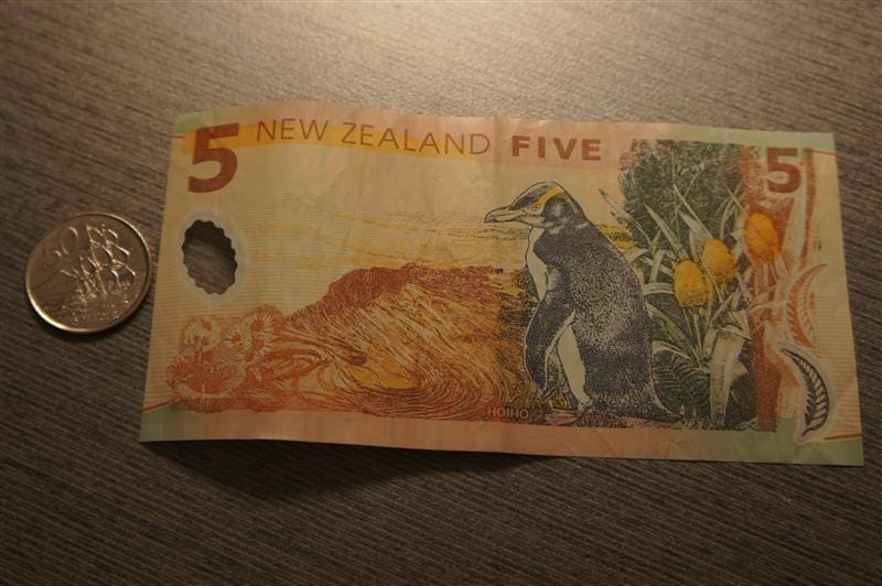 DSC08995.JPG DSC08995.JPG