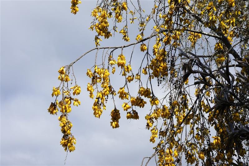 DSC09227.JPG DSC09227.JPG