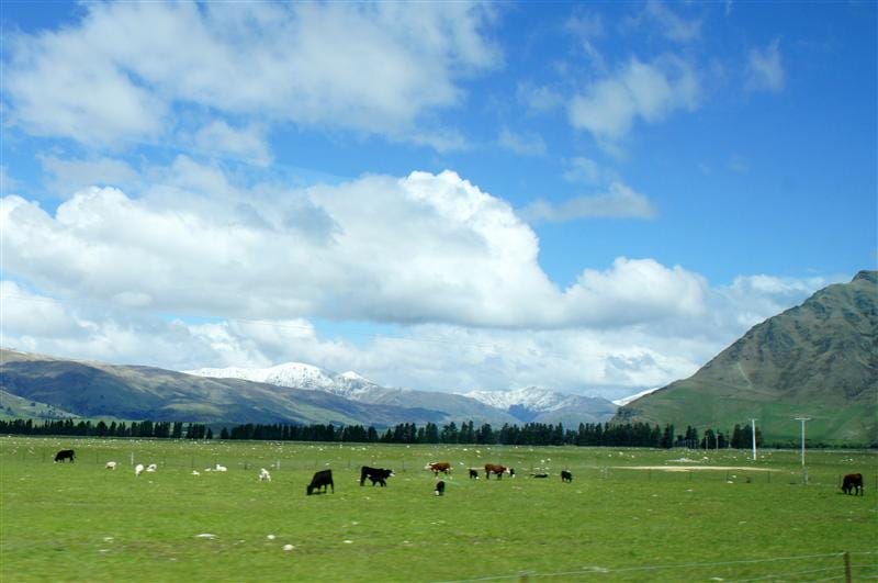 DSC09197.JPG DSC09197.JPG