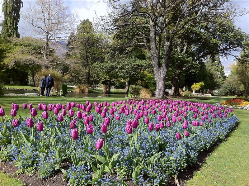 DSC09848.JPG DSC09848.JPG