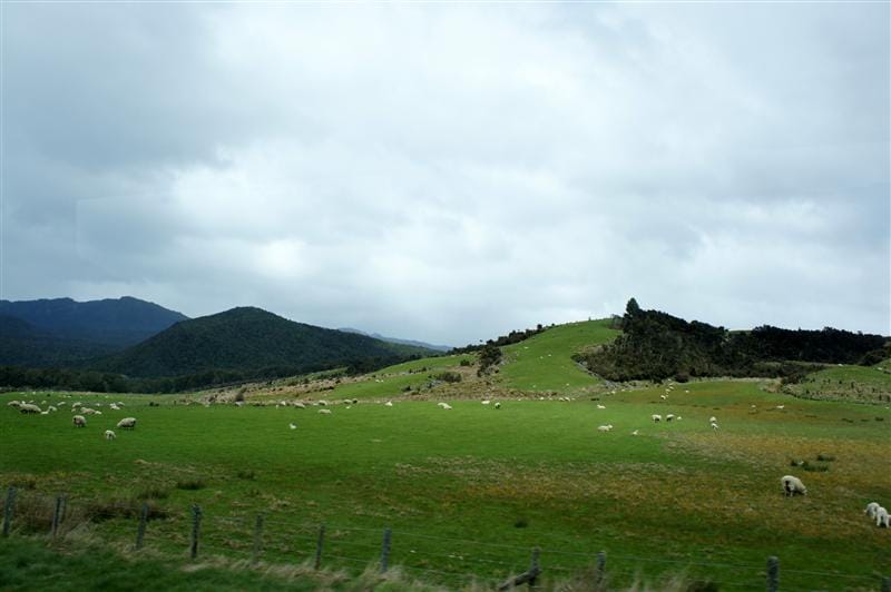 DSC09599.JPG DSC09599.JPG