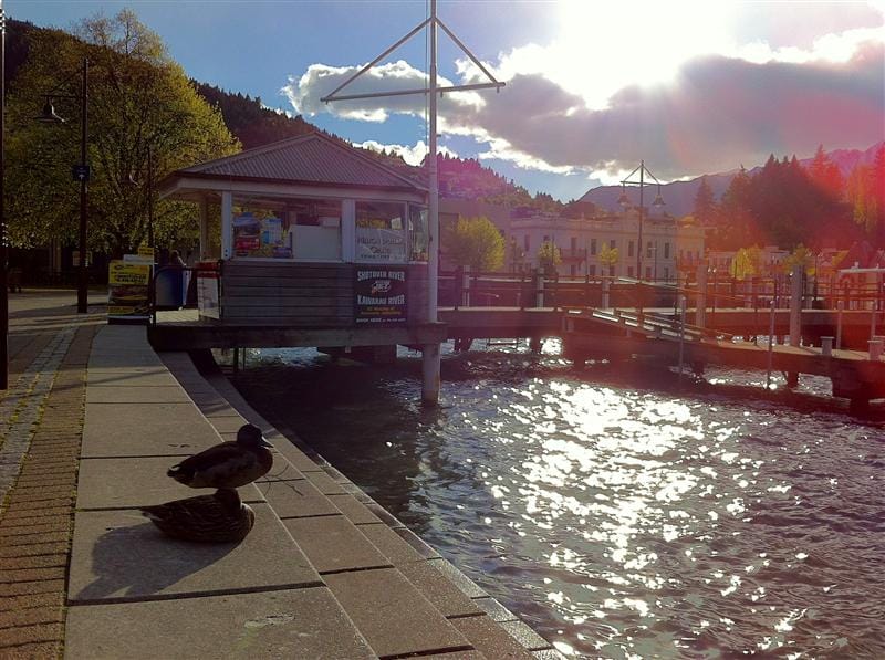 DSC09778.jpg DSC09778.jpg