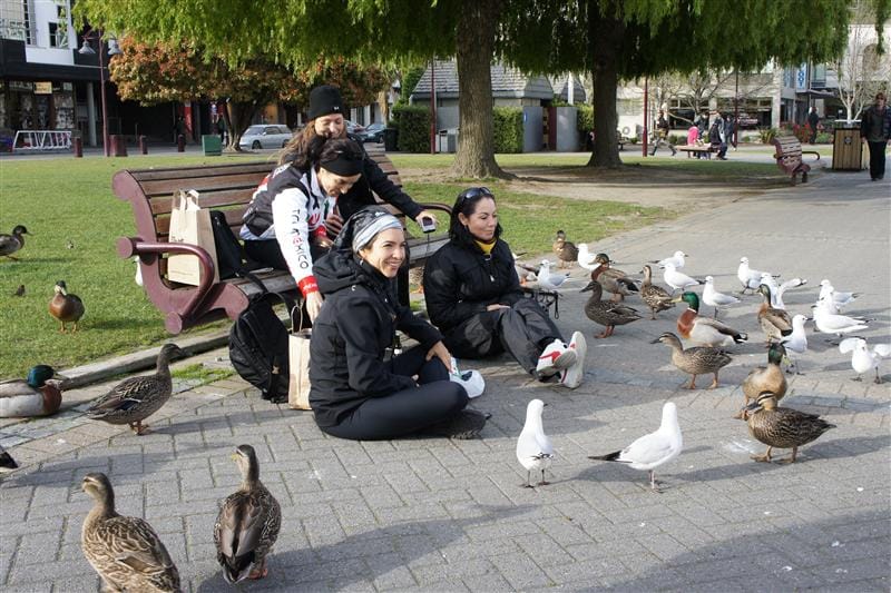 DSC09703.JPG DSC09703.JPG