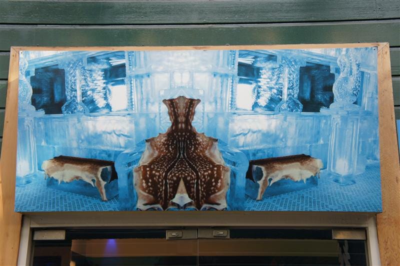 DSC09698.JPG DSC09698.JPG