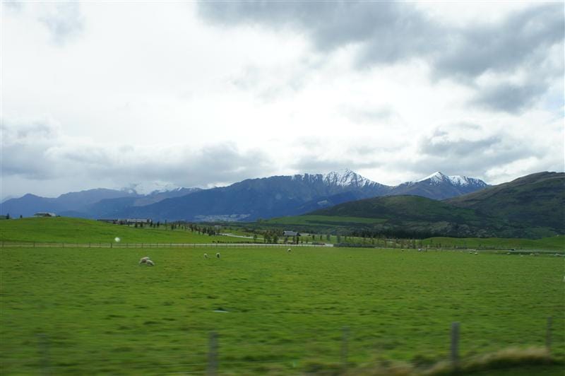 DSC09657.JPG DSC09657.JPG