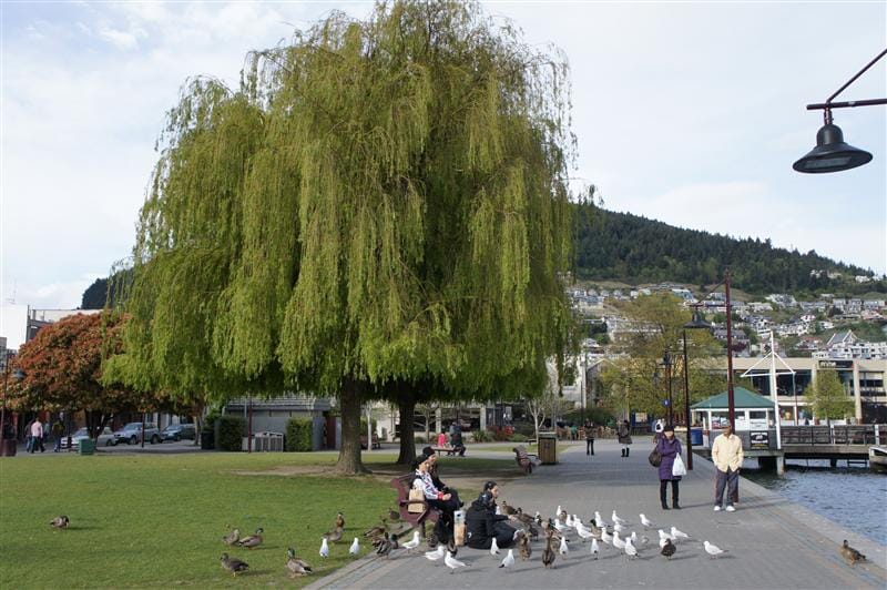 DSC09702.JPG DSC09702.JPG