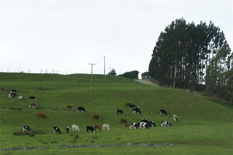 DSC09600.JPG DSC09600.JPG