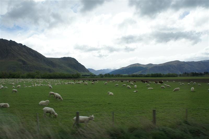 DSC09614.JPG DSC09614.JPG