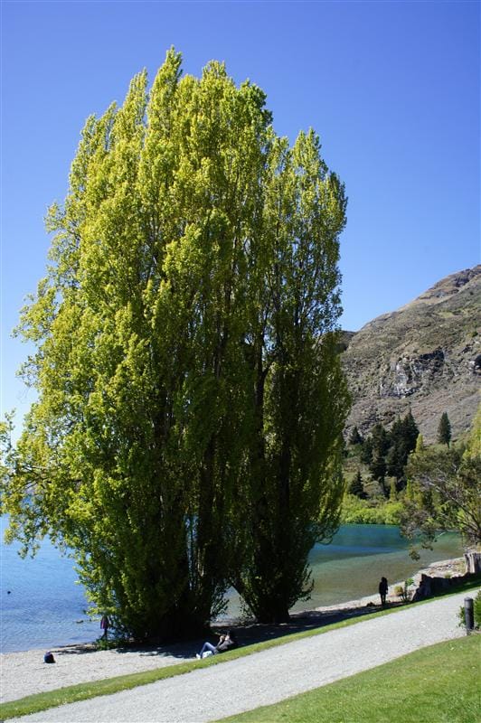 DSC00111.JPG