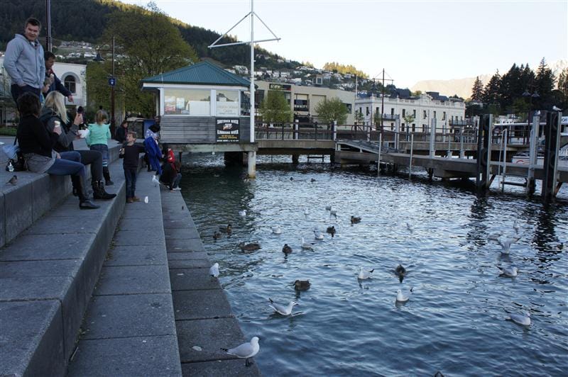 DSC00871.JPG DSC00871.JPG