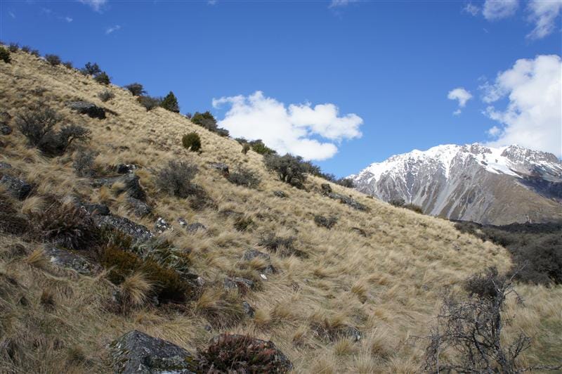 DSC01382.JPG DSC01382.JPG