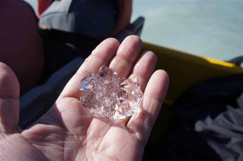 DSC01437.JPG DSC01437.JPG