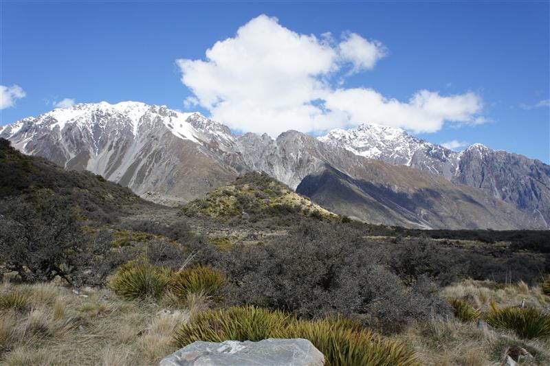 DSC01379.JPG DSC01379.JPG