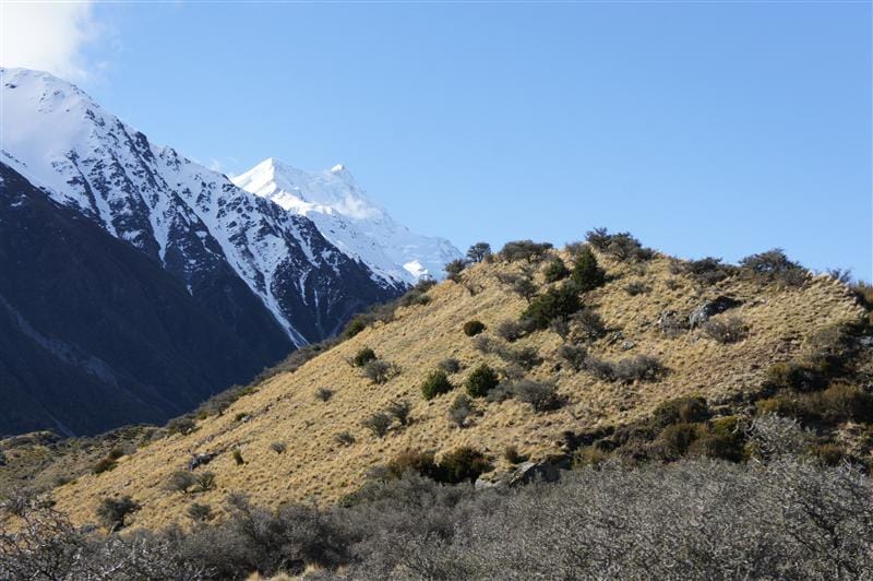 DSC01512.JPG DSC01512.JPG