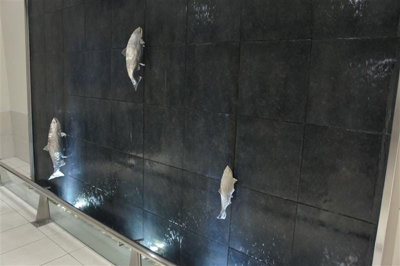 DSC01582.JPG DSC01582.JPG