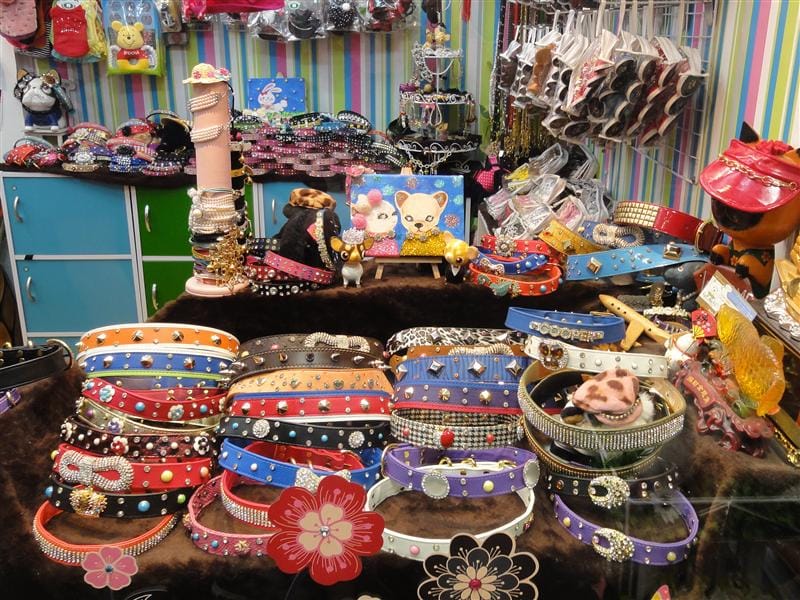 DSC01273.JPG DSC01273.JPG