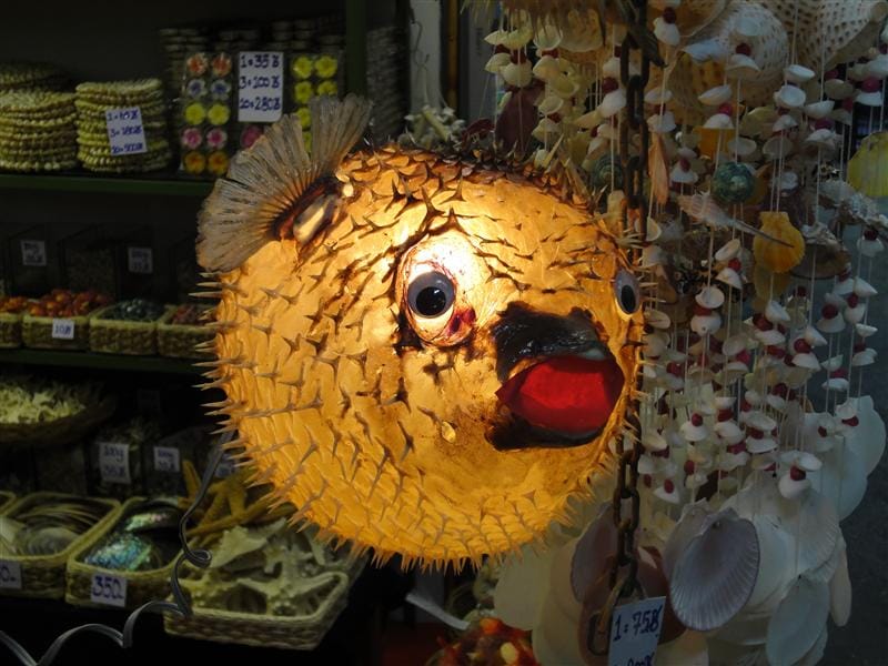 DSC01272.JPG DSC01272.JPG