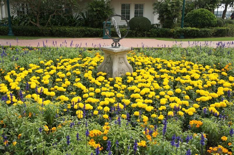 2013-03-15 兩個人的香港迪士尼好萊塢酒店住宿心得