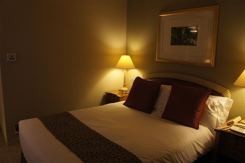 DSC02204.JPG DSC02204.JPG