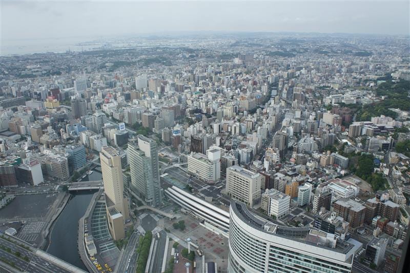 DSC02237.JPG DSC02237.JPG