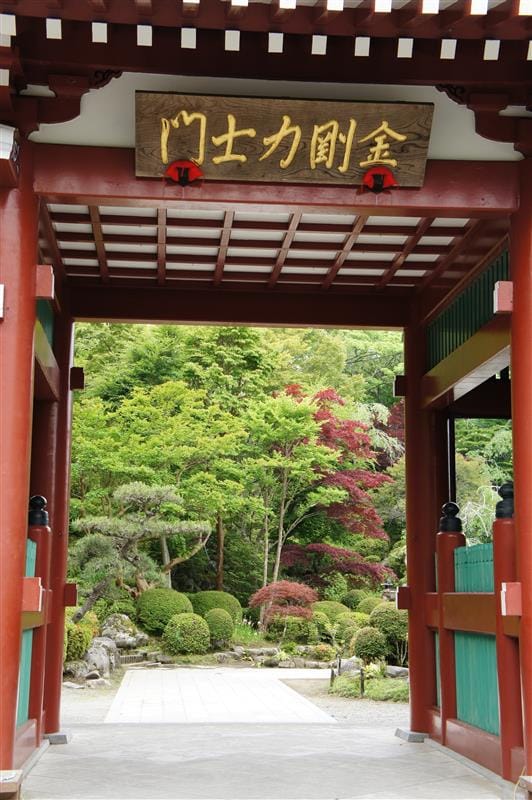 DSC02329.JPG DSC02329.JPG