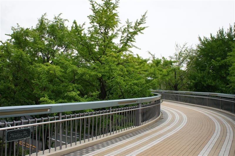 DSC02304.JPG DSC02304.JPG