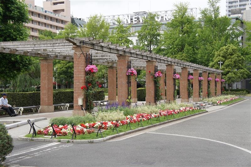 DSC02273.JPG DSC02273.JPG