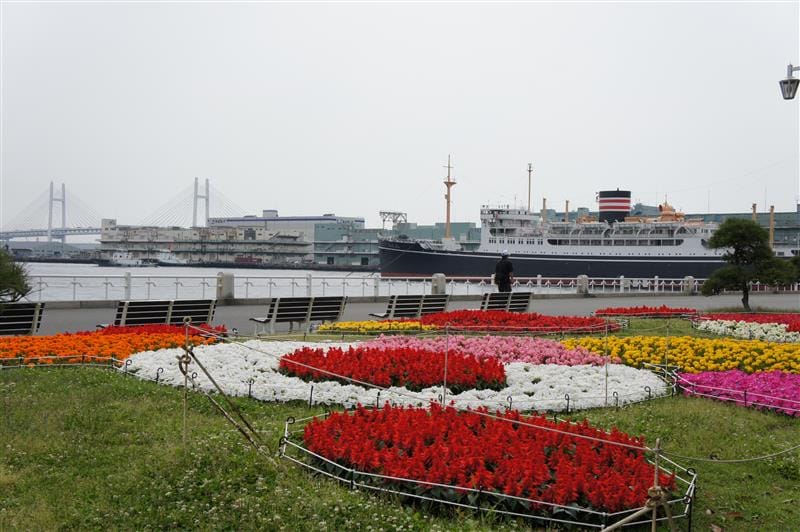 DSC02292.JPG DSC02292.JPG