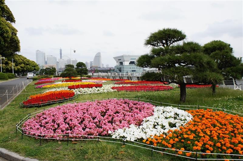 DSC02282.JPG DSC02282.JPG