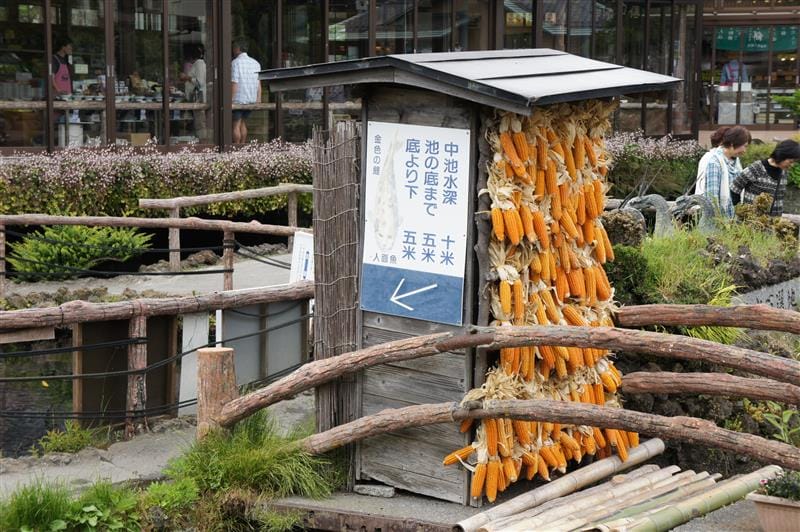 DSC02427.JPG DSC02427.JPG