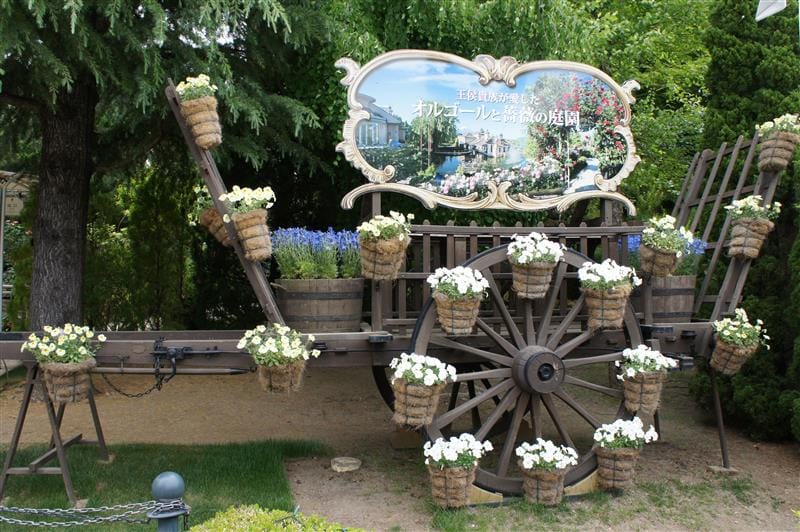 DSC02462.JPG DSC02462.JPG