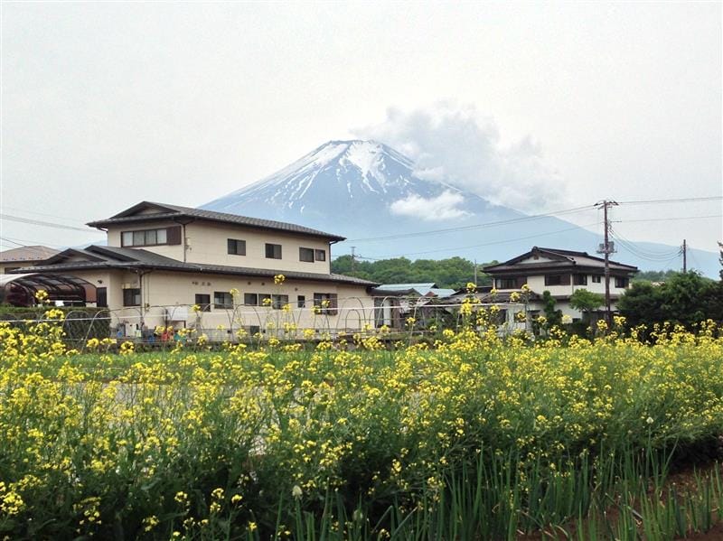 DSC02455.JPG DSC02455.JPG