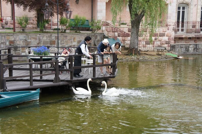 DSC02484.JPG DSC02484.JPG