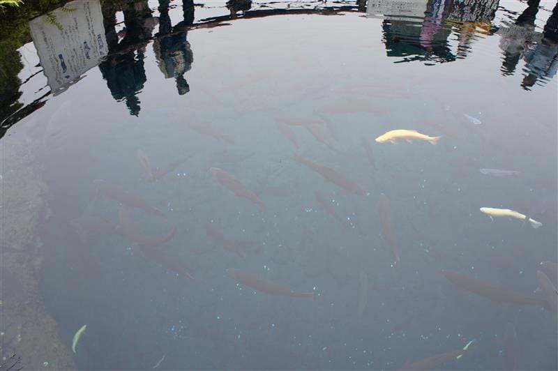 DSC02440.JPG DSC02440.JPG