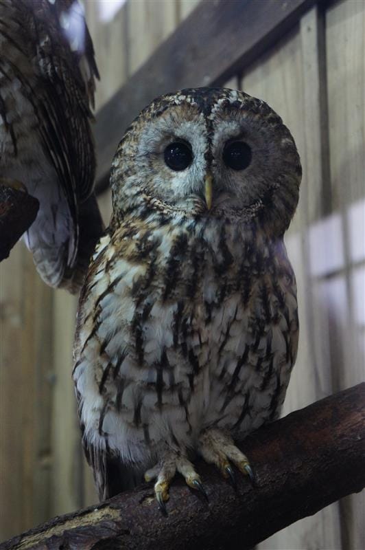 DSC02600.JPG DSC02600.JPG