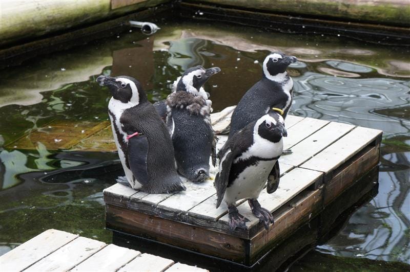 DSC02754.JPG DSC02754.JPG