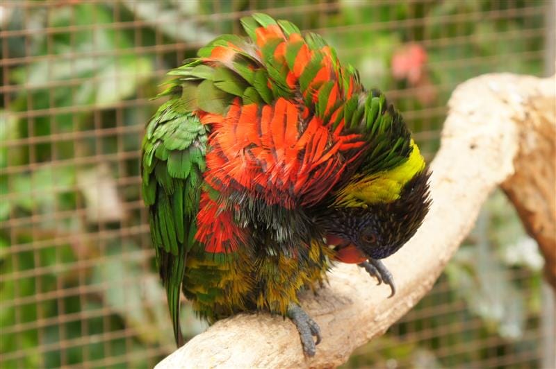 DSC02711.JPG DSC02711.JPG