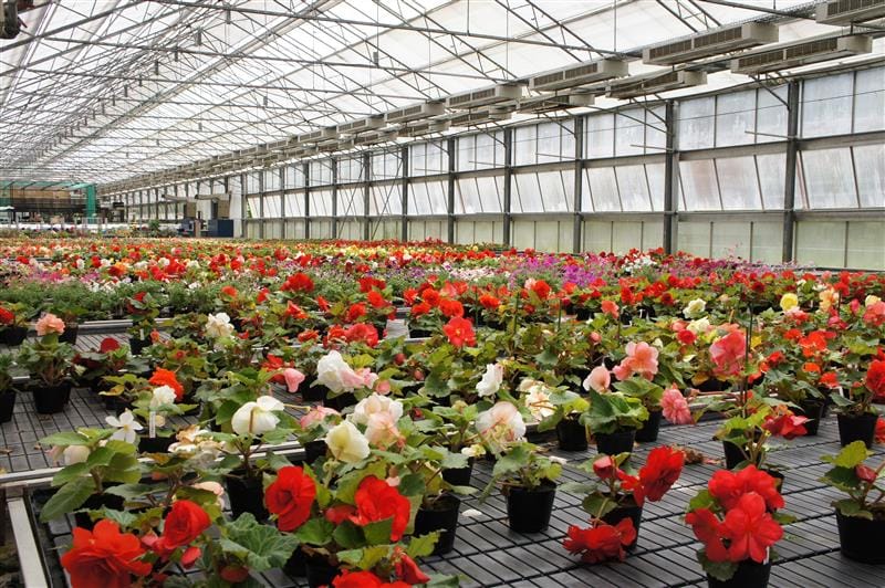 DSC02744.JPG DSC02744.JPG