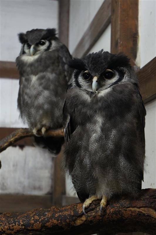 DSC02598.JPG DSC02598.JPG