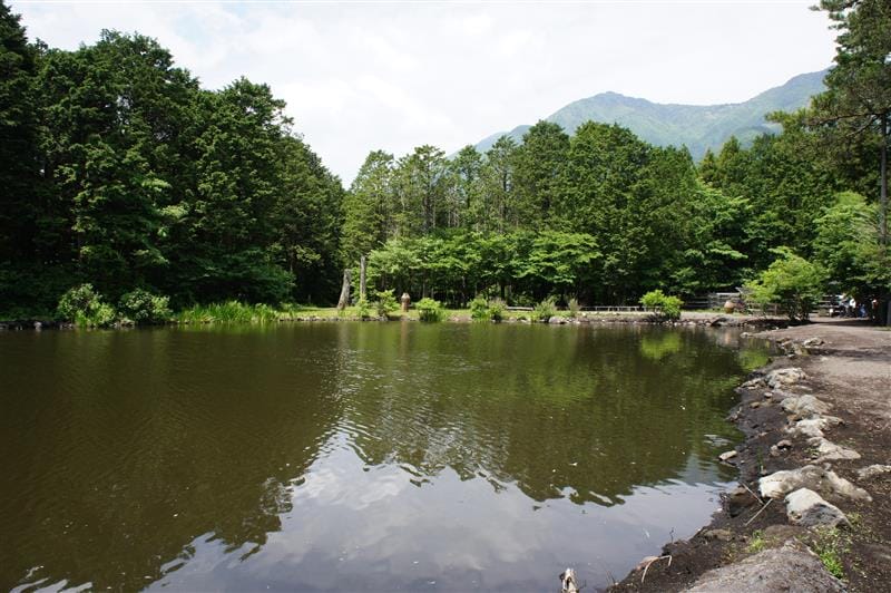 DSC02732.JPG DSC02732.JPG