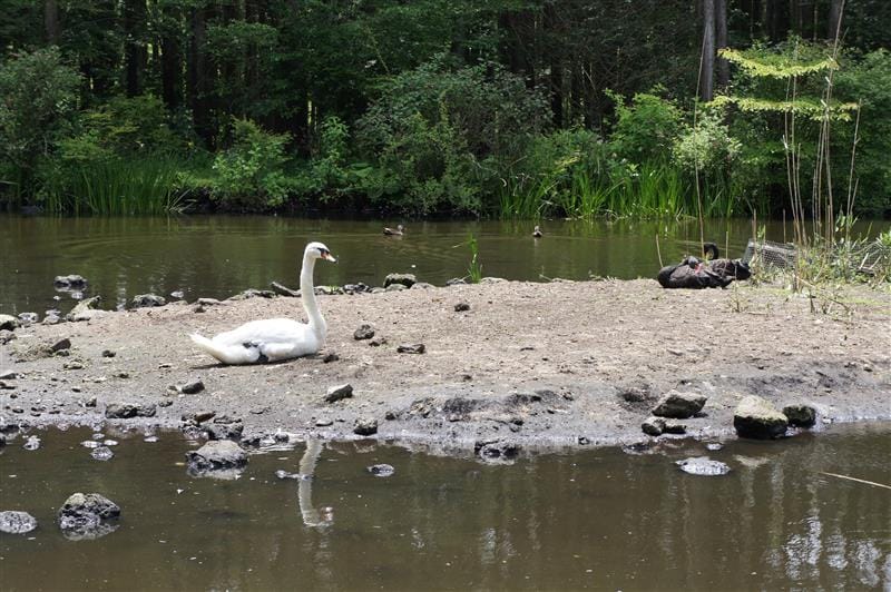 DSC02726.JPG DSC02726.JPG