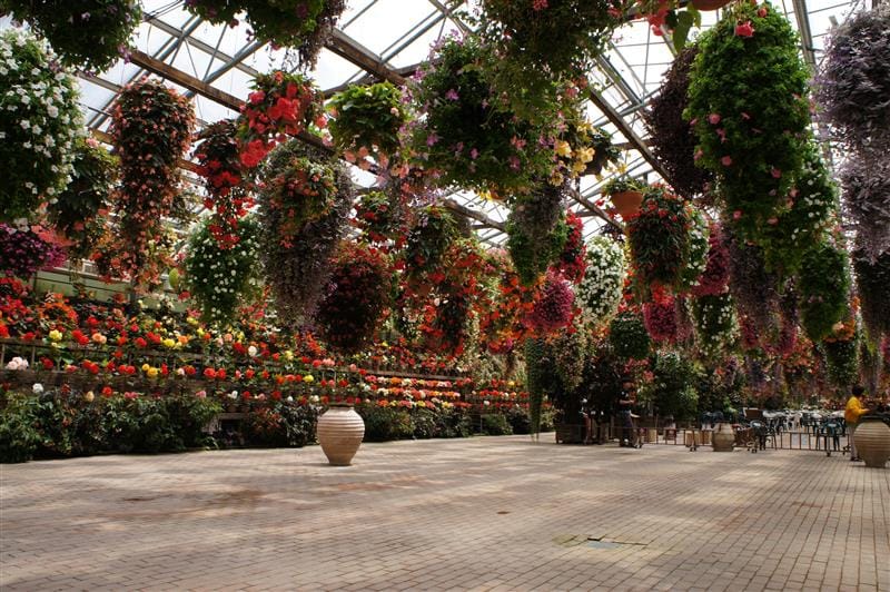 DSC02615.JPG DSC02615.JPG