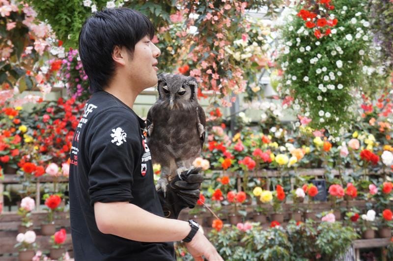 DSC02694.JPG DSC02694.JPG